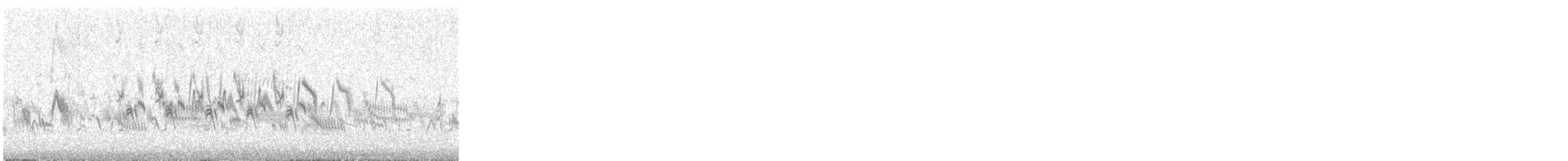 Richard's Pipit - ML647769735