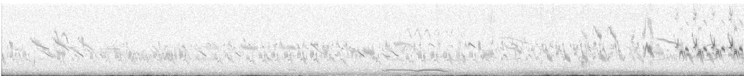 Richard's Pipit - ML647769736