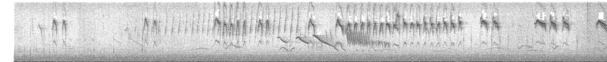 Shiny Cowbird - ML647771981