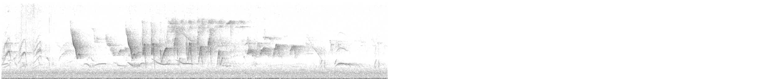 Seidensänger - ML647772342