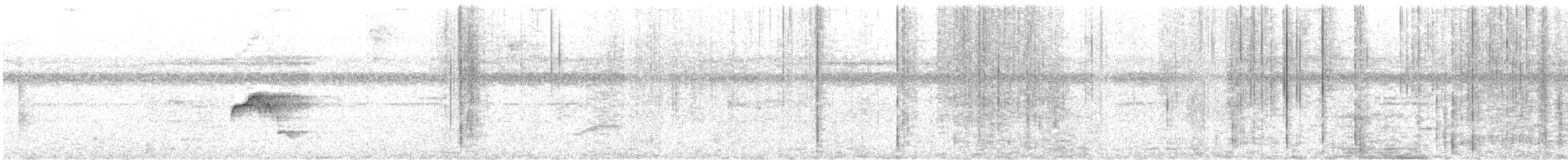 Schwarzschnabel-Schnäppertyrann - ML647772587