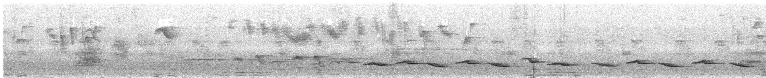 Rotbauchdrossel - ML647772752