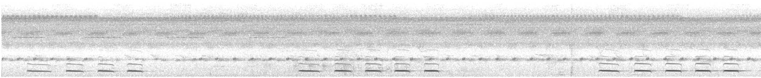 Perlenralle - ML647772781