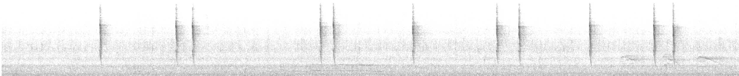 Pazifikzaunkönig (pacificus) - ML647773079