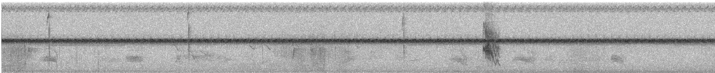 Géospize fuligineux - ML647776764