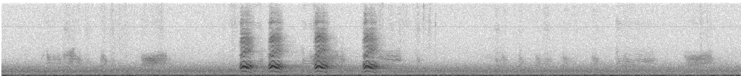 Corneille d'Amérique - ML647776807