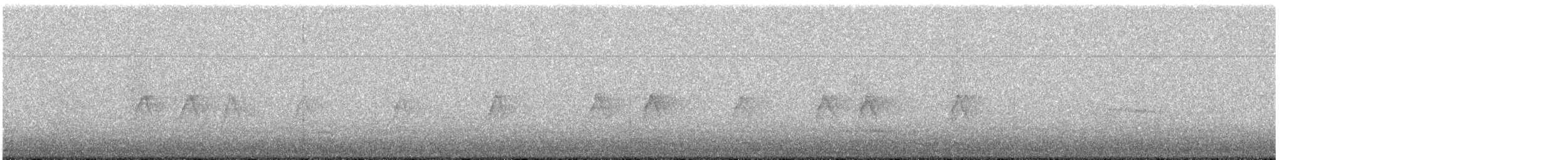 Moineau domestique - ML647776828