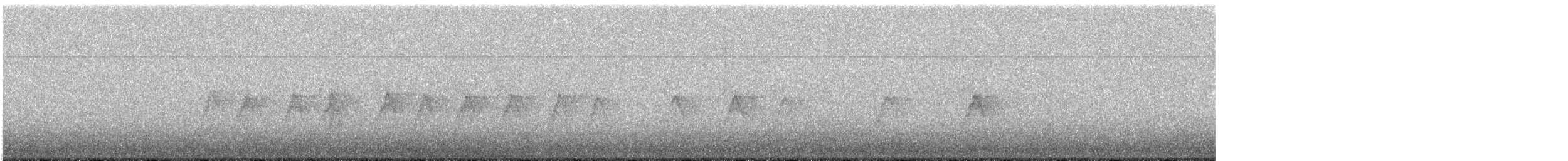 Moineau domestique - ML647776829