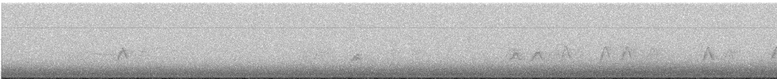 Moineau domestique - ML647776831