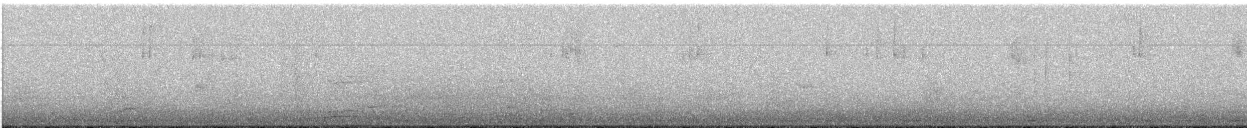 Junco ardoisé - ML647776841