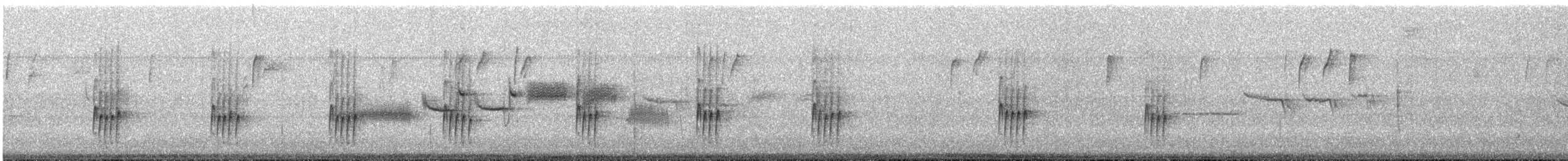 Carolina Wren - ML647778107