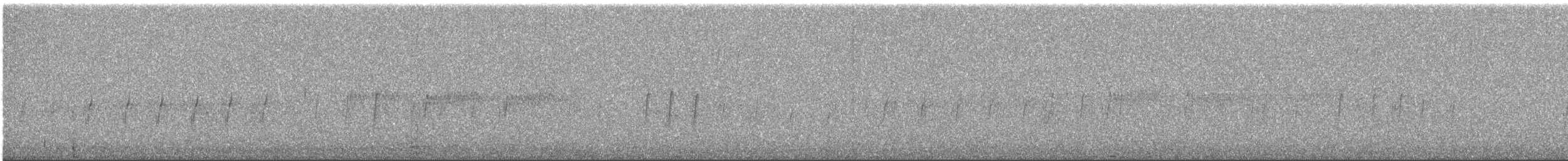 Piquituerto Común - ML647778496