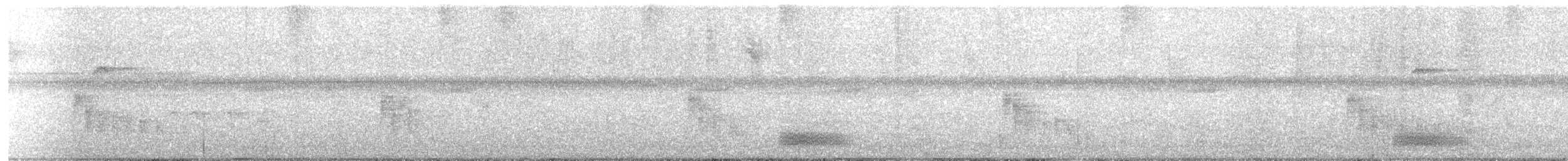 Barred Antshrike - ML647778602