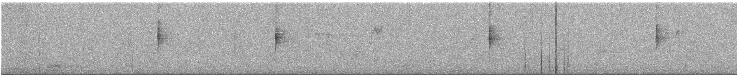 MacGillivray's Warbler - ML647780888