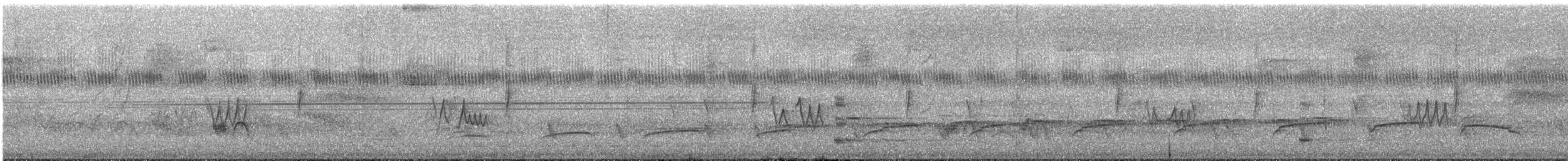 Rufous-tailed Attila - ML647781028