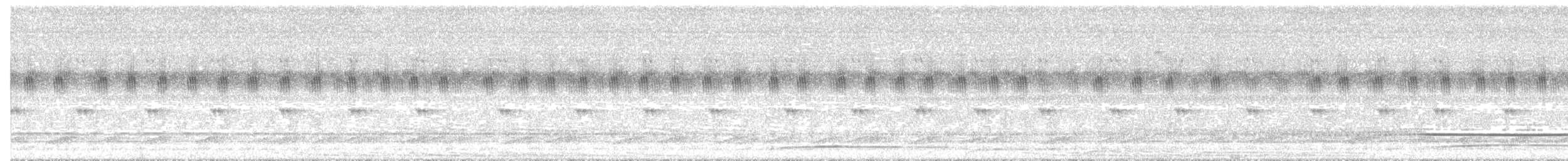 Common Potoo - ML647781114