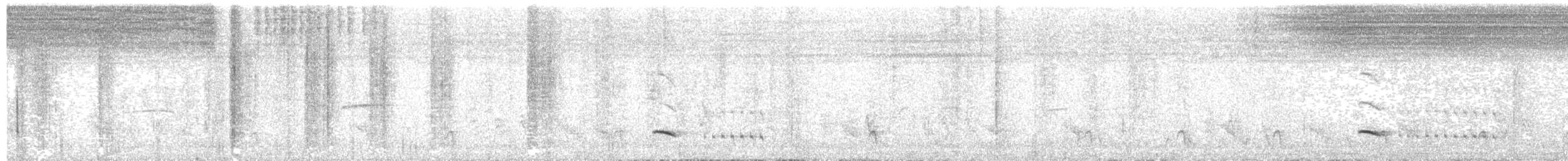 Northern White-fringed Antwren - ML647781140