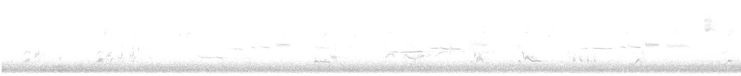 Crissal Thrasher - ML647781359