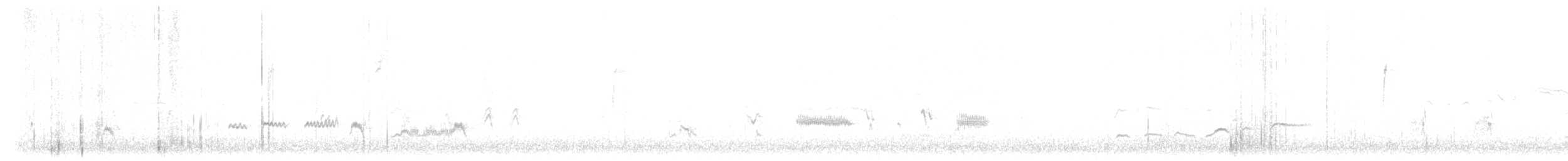 Crissal Thrasher - ML647781360