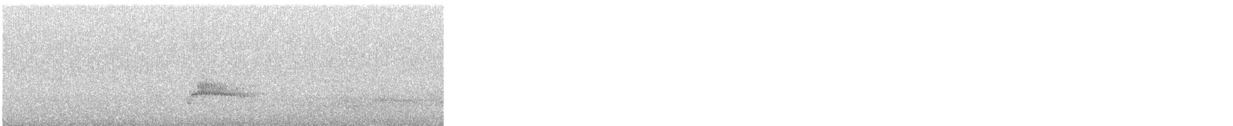 西方秧雞 - ML647782156