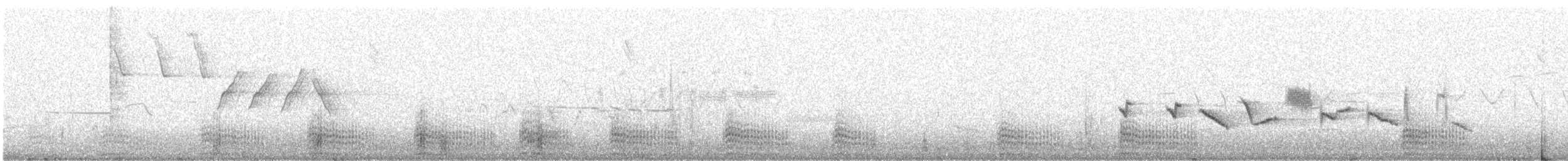 葡萄胸鴨 - ML647782448