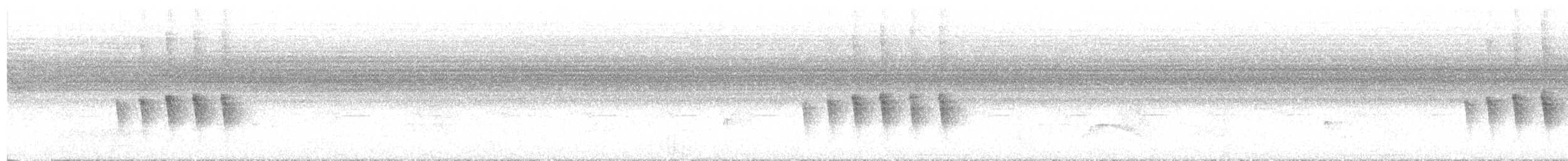 Рыжебрюхая бандурита - ML647782858