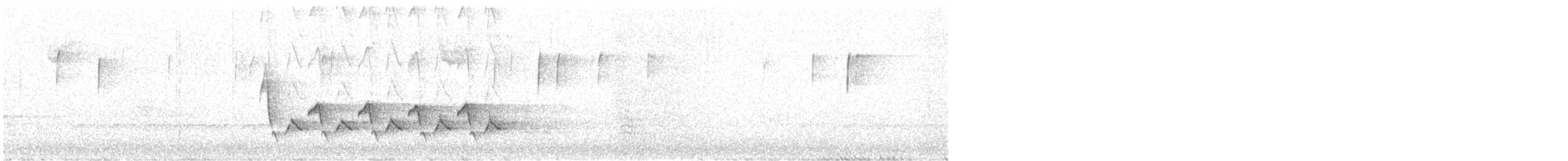 Поплітник каролінський - ML647784642