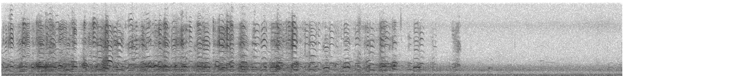 Cackling Goose (Richardson's) - ML647785165