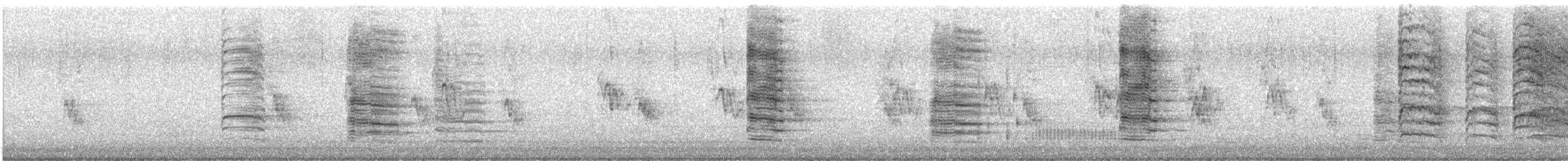 Geai bleu - ML647785210