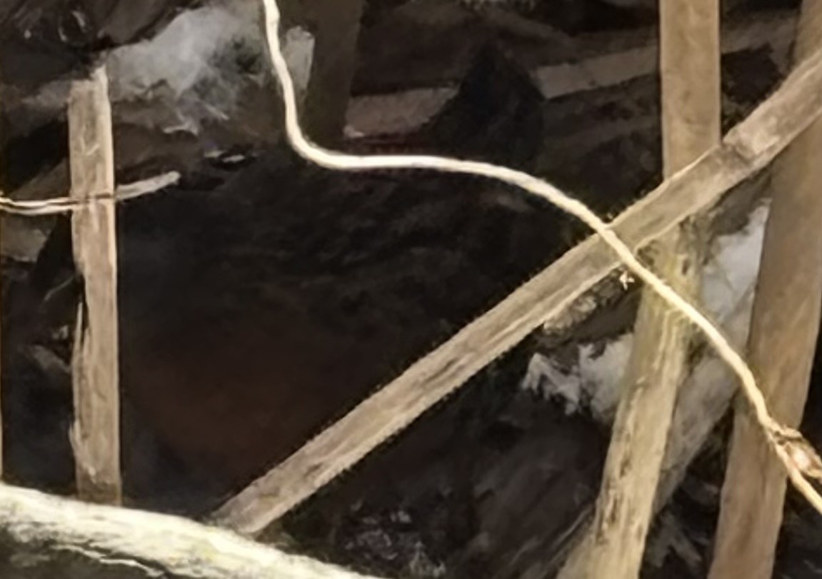 Virginia Rail - ML647785720