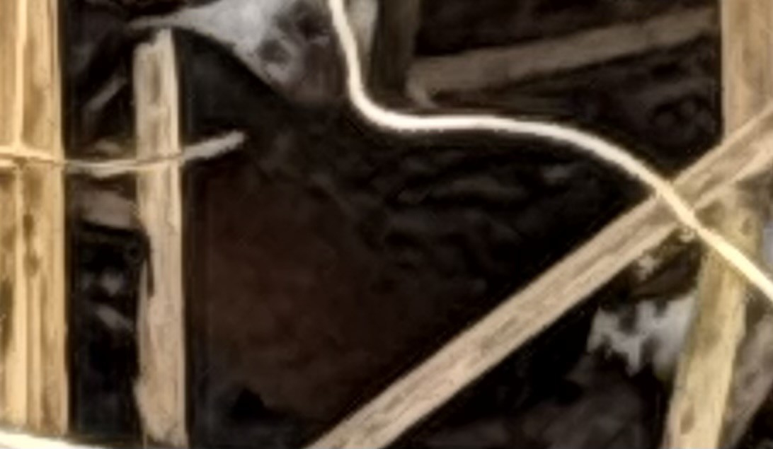 Virginia Rail - ML647785722