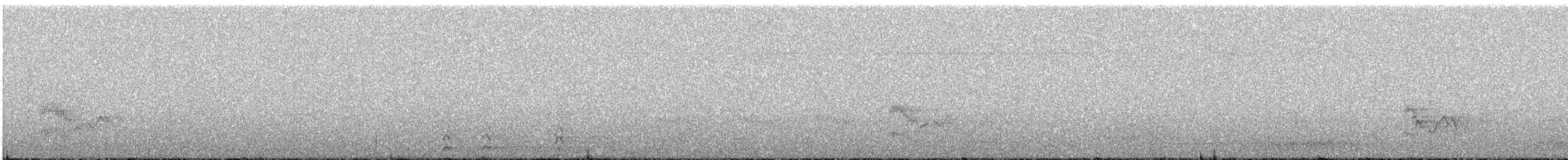 Чечевиця кармінова - ML647786044