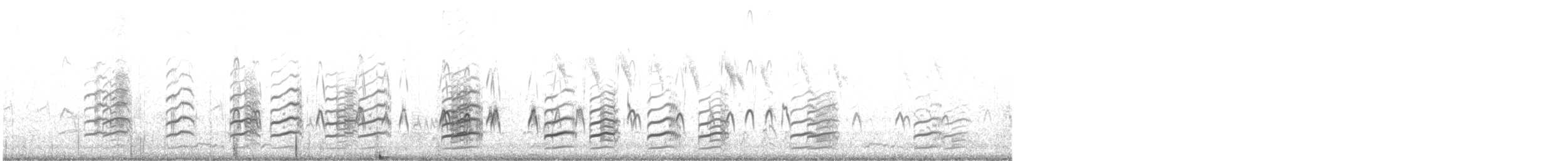 Black-winged Stilt - ML647786104