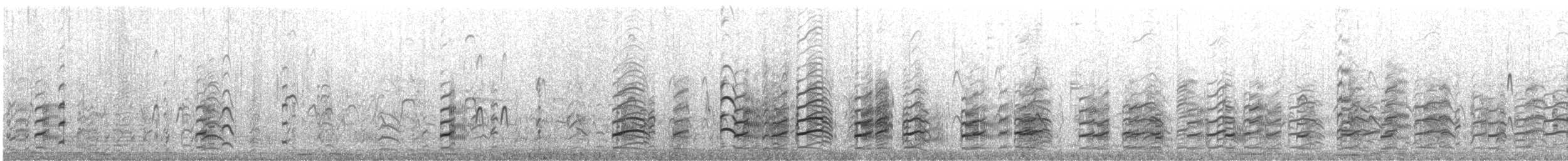 Black-winged Stilt - ML647786105