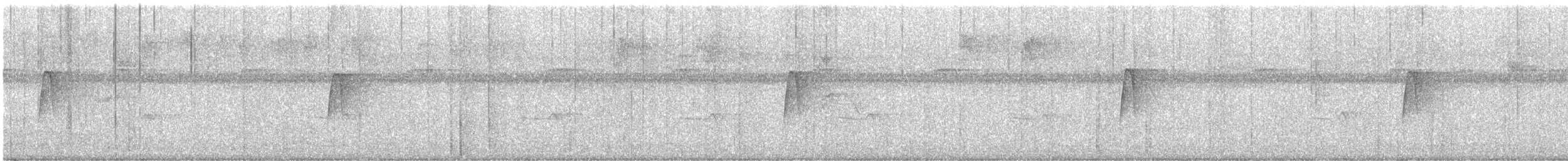 חטפית ירקרקה - ML647788201