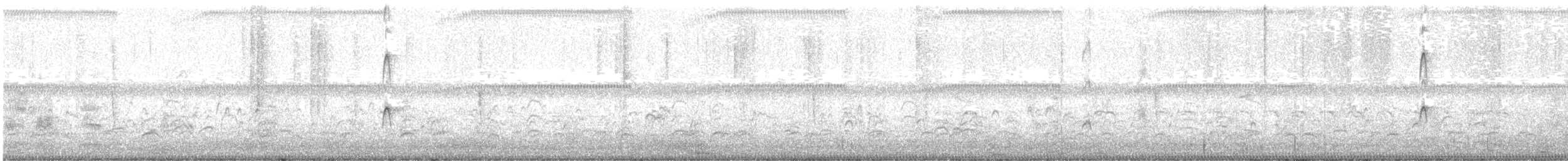 Agujeta Escolopácea - ML647788616