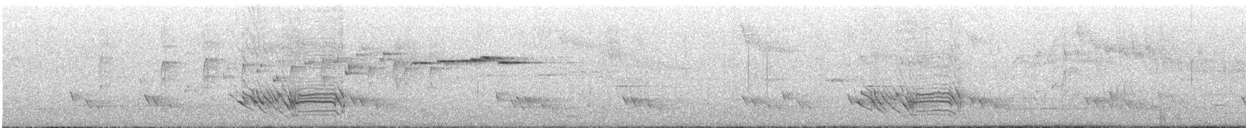 Black-faced Cuckooshrike - ML647788796