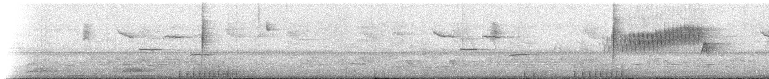 גיבתונית כחולה - ML647789055