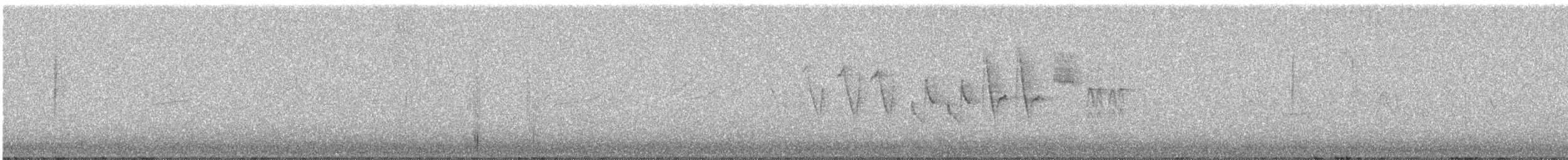 Западный пиви - ML647789345