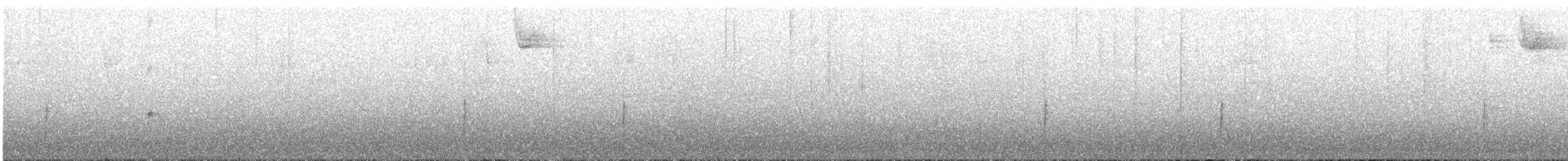 Чечевиця кармінова - ML647789739