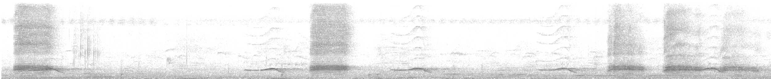 vrána tlustozobá (ssp. levaillantii) - ML647790443