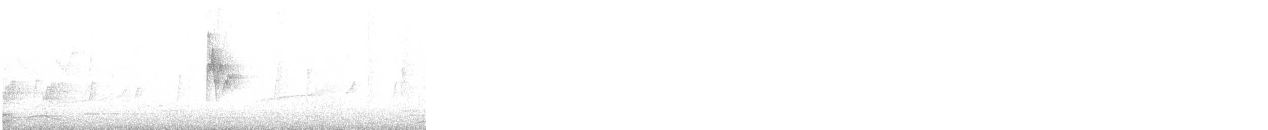 budníček dvoupruhý - ML647790469