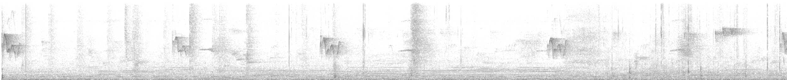 budníček dvoupruhý - ML647790470