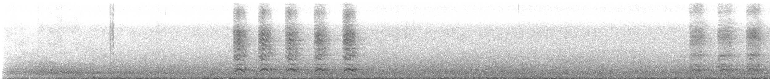 vrána americká - ML647790488