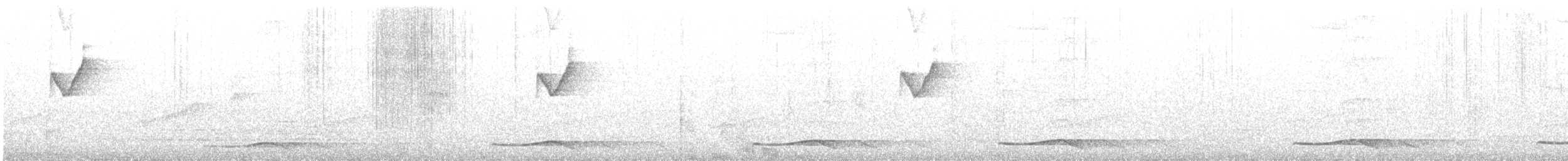 budníček pruhohlavý - ML647790492