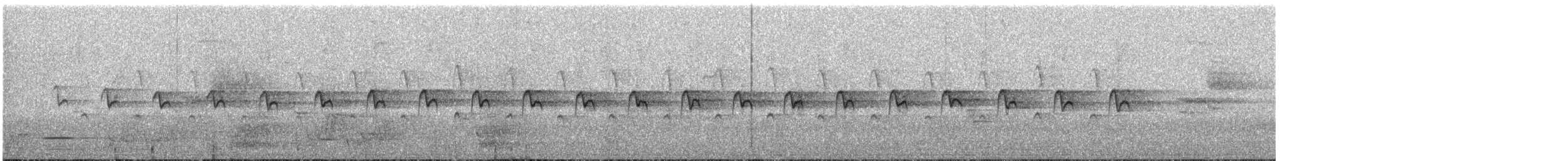 Tasmanian Scrubwren - ML647790565