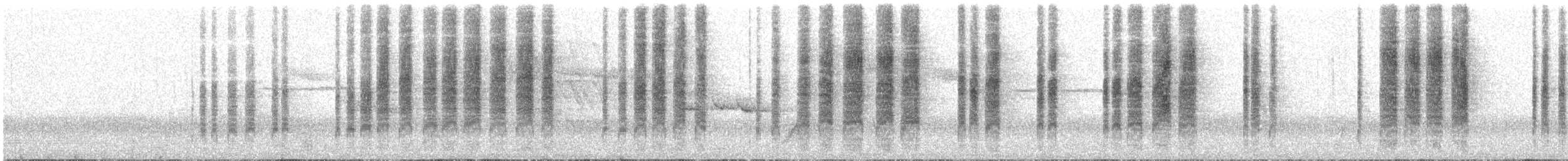 Tasmanian Scrubwren - ML647790566