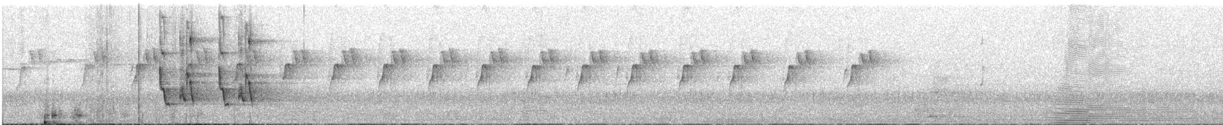 Tasmanian Scrubwren - ML647790570