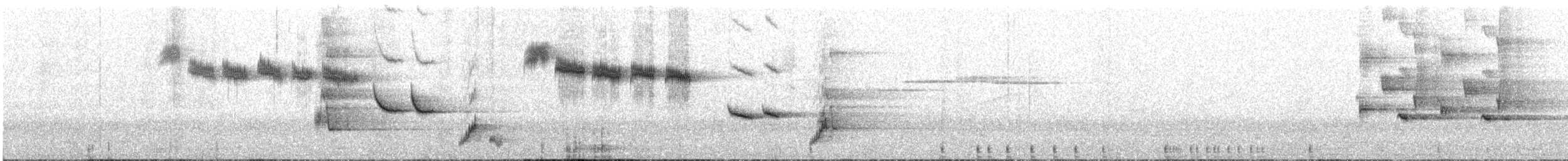 Tasmanian Thornbill - ML647790573