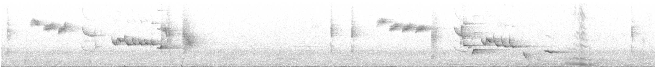 Tasmanian Thornbill - ML647790574